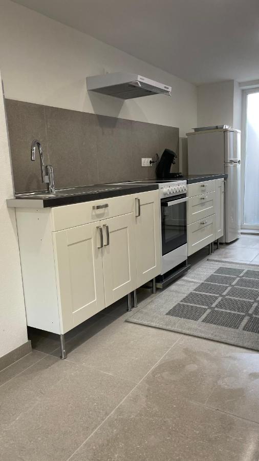 Appartamento Chaleureux F2 avec entrée indépendante Wittenheim Esterno foto